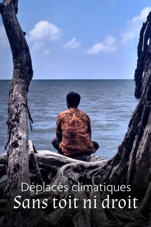 Déplacés climatiques : sans toit ni droit (2024) poster