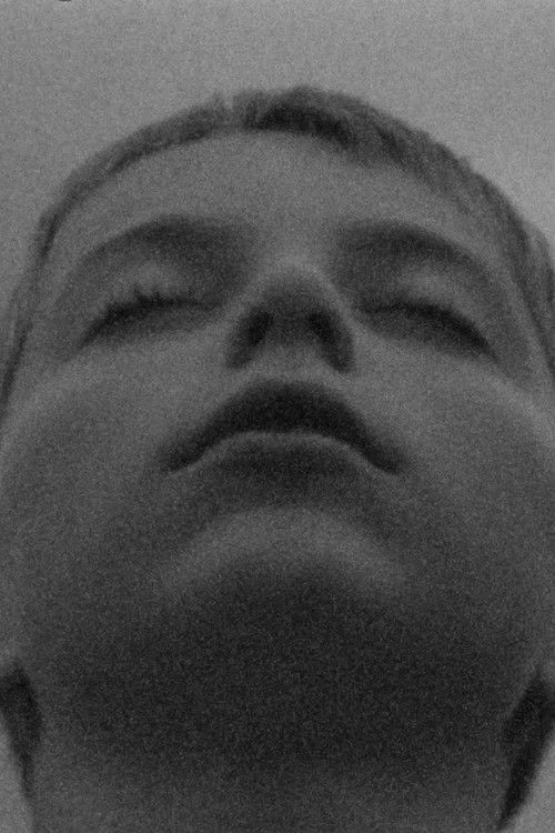 Das Rad (2021) poster