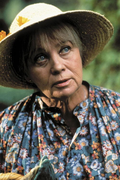 Sunday Pursuit (1990) poster