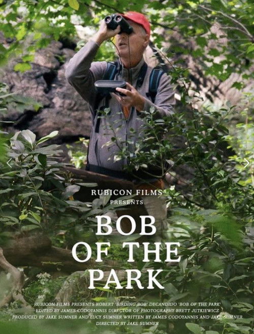 Bob of the Park (2019) poster