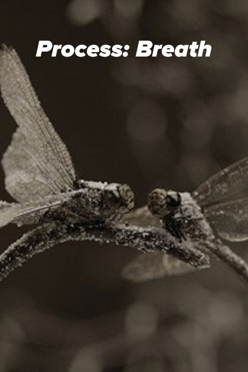 Process: Breath (2017) poster