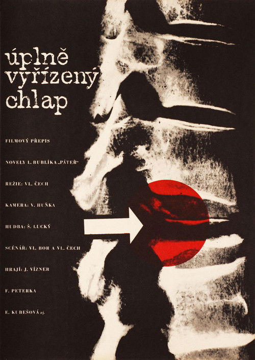 Úplně vyřízený chlap (1965) poster