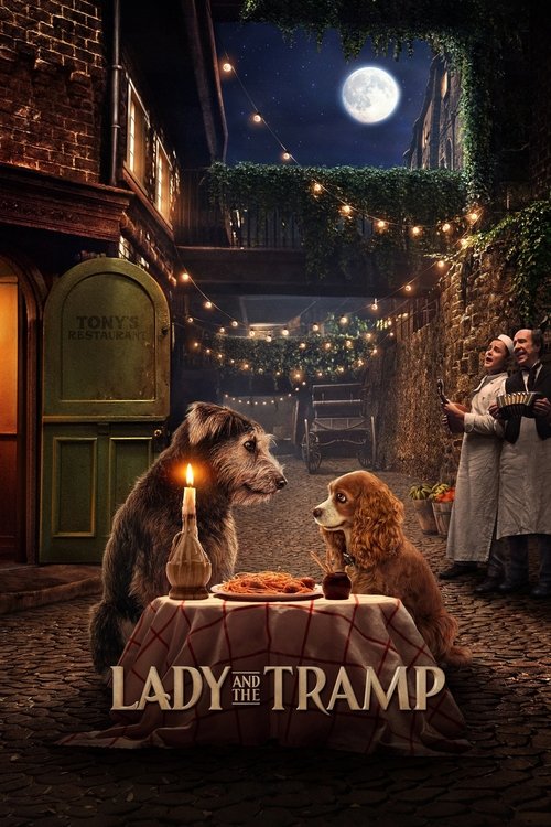 Lady ile Sokak Köpeği (2019) poster