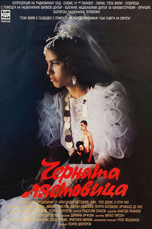 The Black Swallow (1997) poster