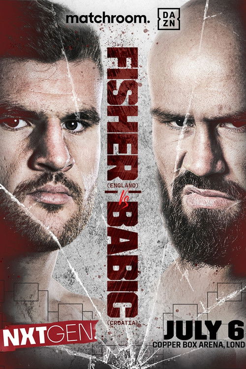 Johnny Fisher vs. Alen Babic (2024) poster