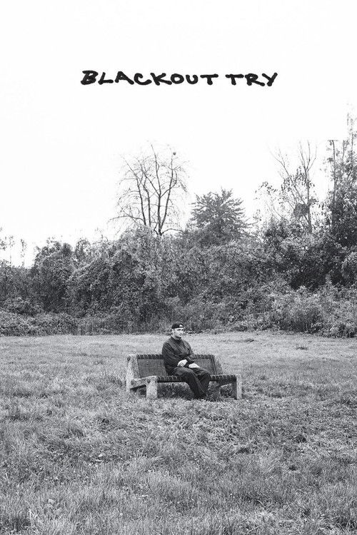 Blackout Try (2025) poster