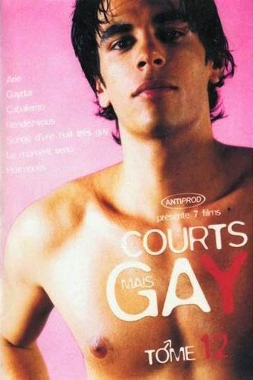 Courts mais Gay : Tome 12 (2006) poster