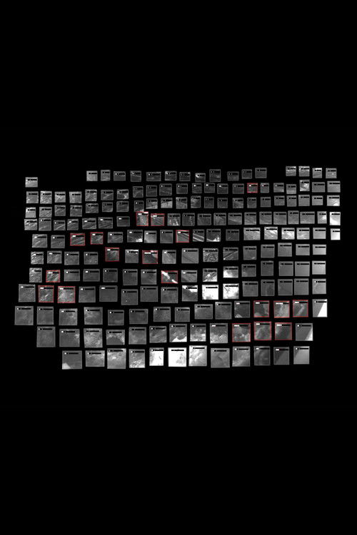 Remote Occlusions (2024) poster