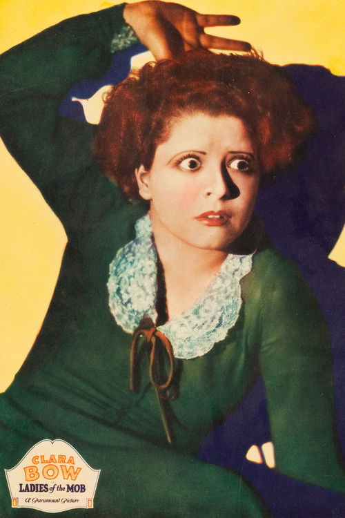 Ladies of the Mob (1928) poster