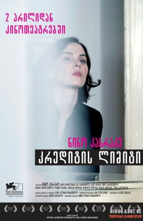კრედიტის ლიმიტი (2014) poster