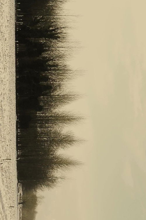 REVELATION (2015) poster