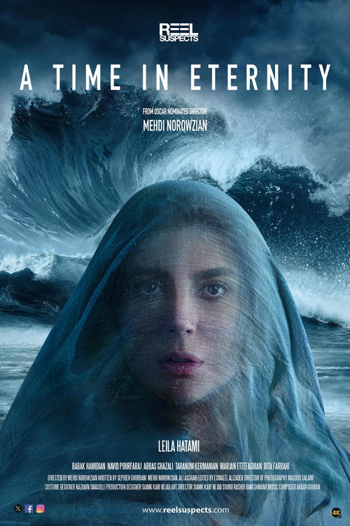 زمانی در ابدیت (2026) poster