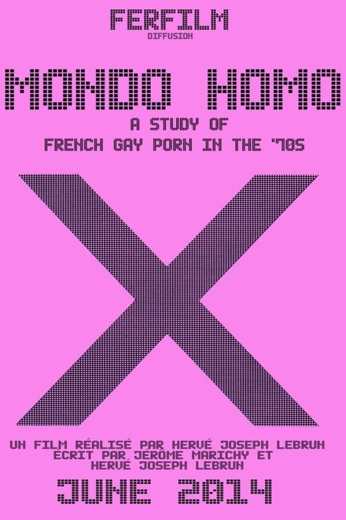 Mondo Homo: A Study of French Gay Porn in the '70s (2014) poster