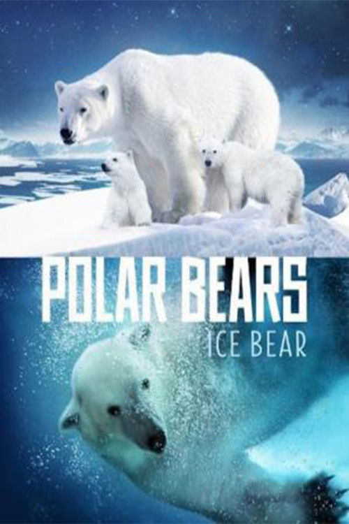 Polar Bears: Ice Bear (2013) poster