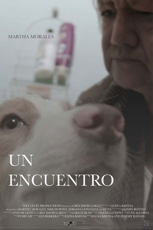 Un Encuentro (2021) poster