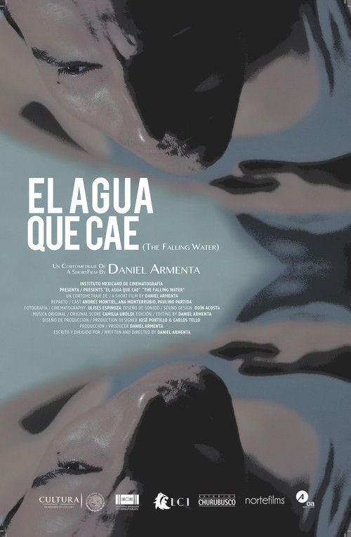 The Falling Water (2019) poster