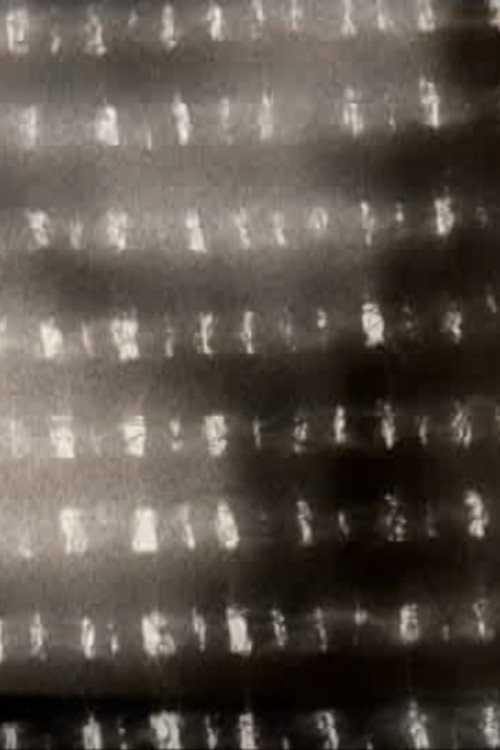 Tessitura calda (2013) poster