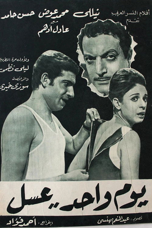 يوم واحد عسل (1969) poster