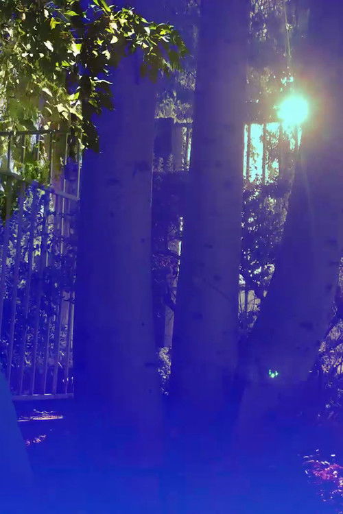 Ruminative Meditations (2017) poster