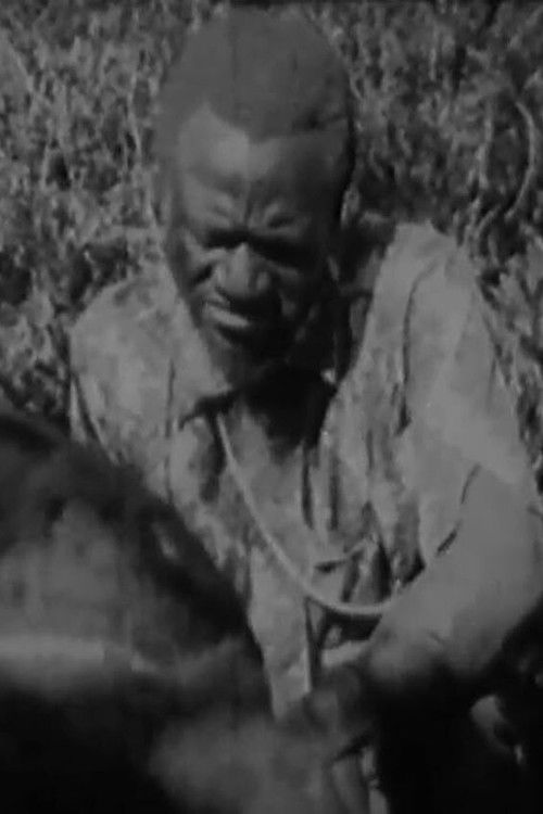 O Kimbanda Kambia (1979) poster