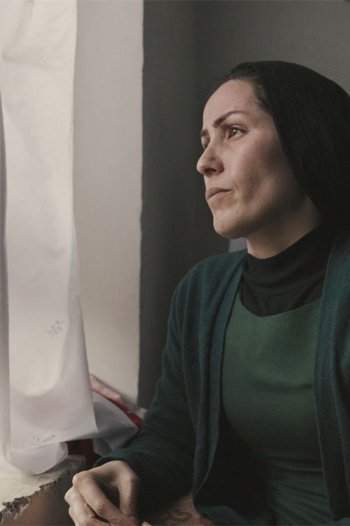 Bad Omen (2020) poster