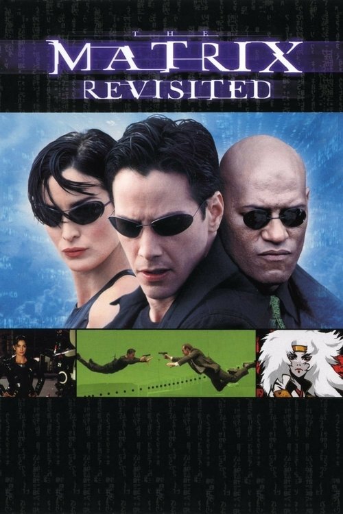 The Matrix Revisited (2001) poster