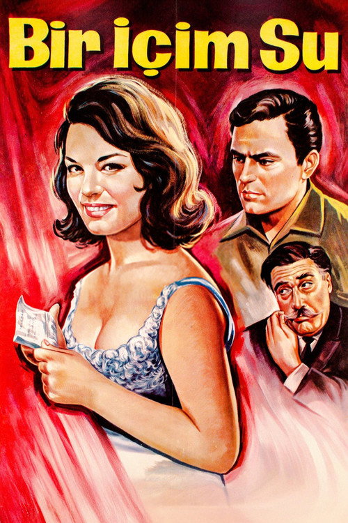 Bir İçim Su (1964) poster