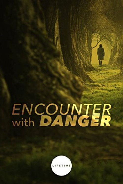 Encounter with Danger (2010) poster