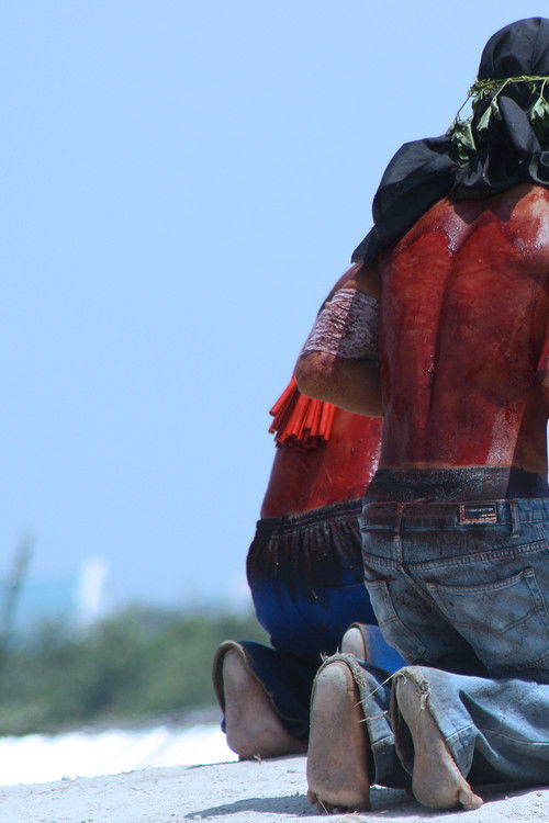 Victor (2012) poster