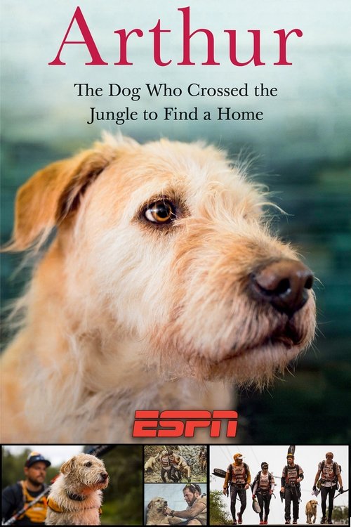 Arthur (2017) poster