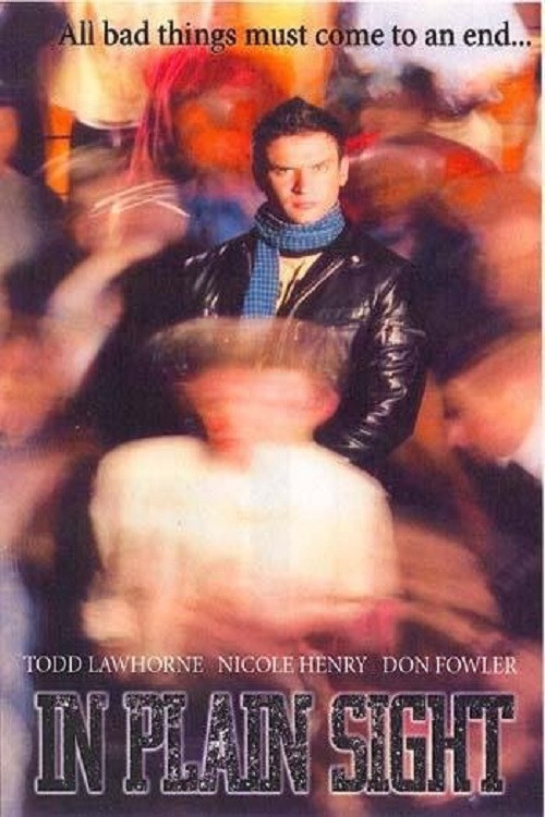 In Plain Sight (2004) poster