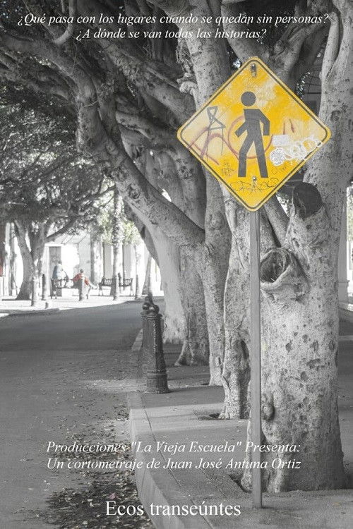 Ecos transeuntes (2021) poster