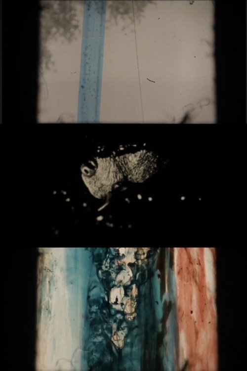 The Rip (2011) poster