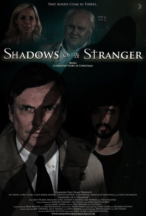 Shadows of a Stranger (2014) poster