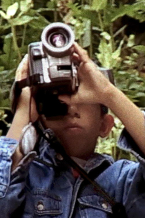 Qualcosa nei Passi e nello Sguardo (2017) poster