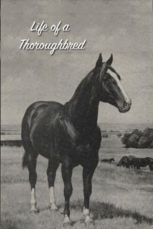 Life of a Thoroughbred (1941) poster