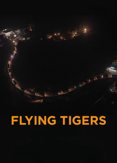 Flying Tigers (2026) poster