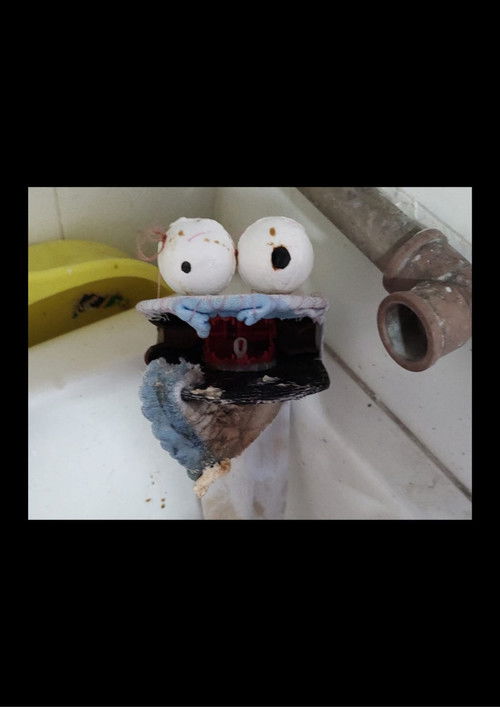 Weird Living Way (2023) poster