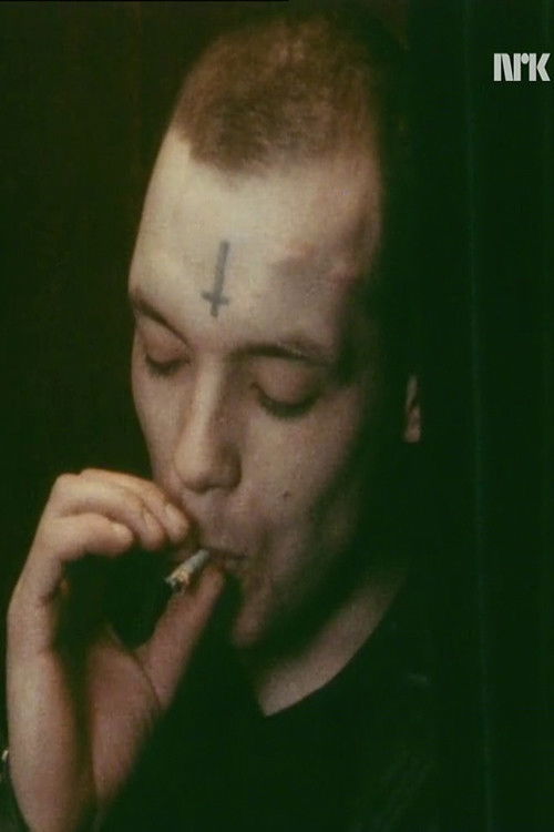 Du har ikke en sjans - ta'n! (1984) poster