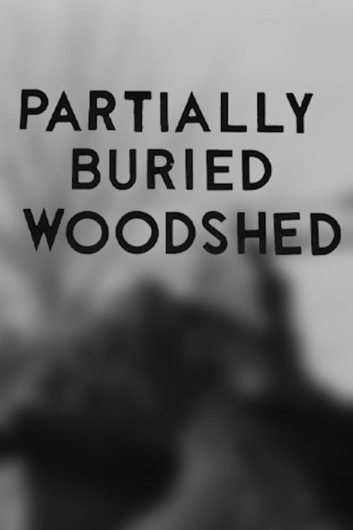 Partially Buried Woodshed (1970) poster