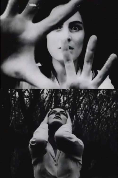 Hands of Purple Distances (1962) poster