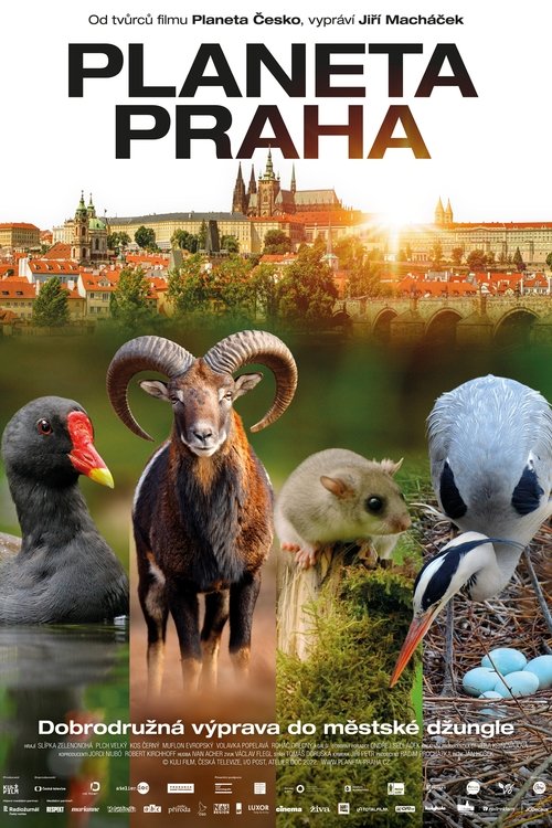 Wild Prague (2022) poster