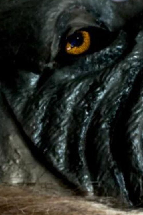 The Werewolf of Chatsford (2018) poster