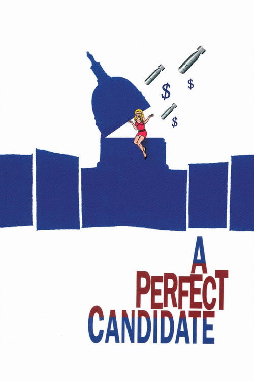 A Perfect Candidate (1996) poster