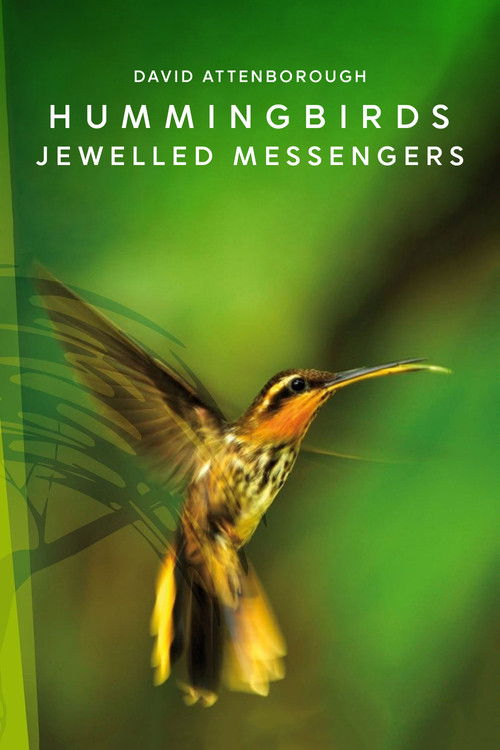 Hummingbirds: Jewelled Messengers (2012) poster