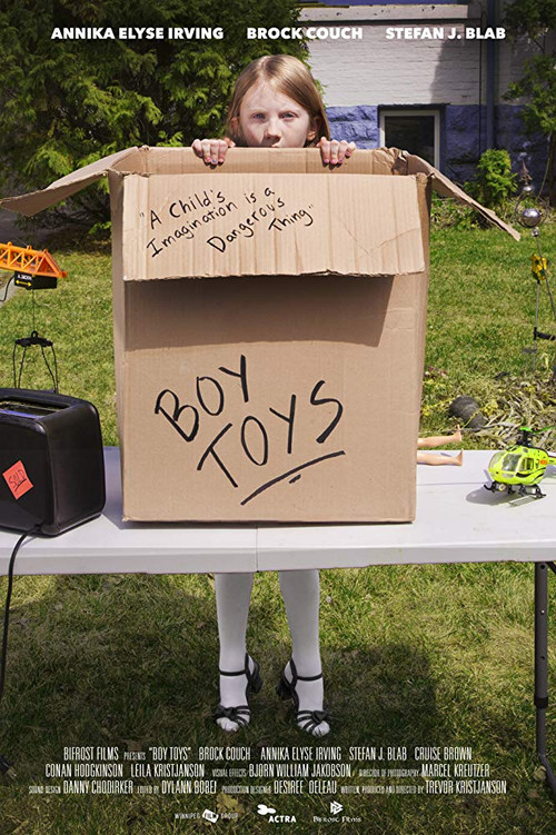 Boy Toys (2015) poster