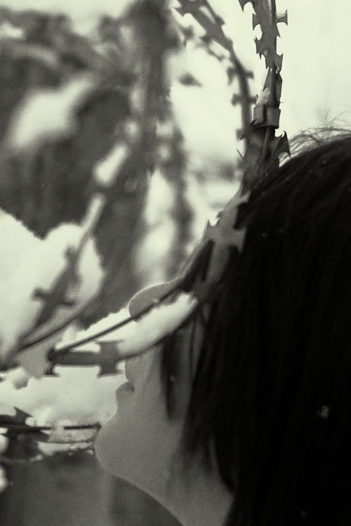 Не Санитары poster