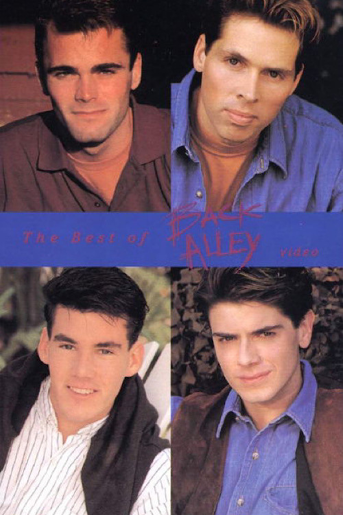 The Best of Back Alley Video (1991) poster