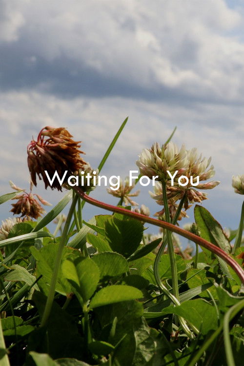 Waiting For You (2024) poster