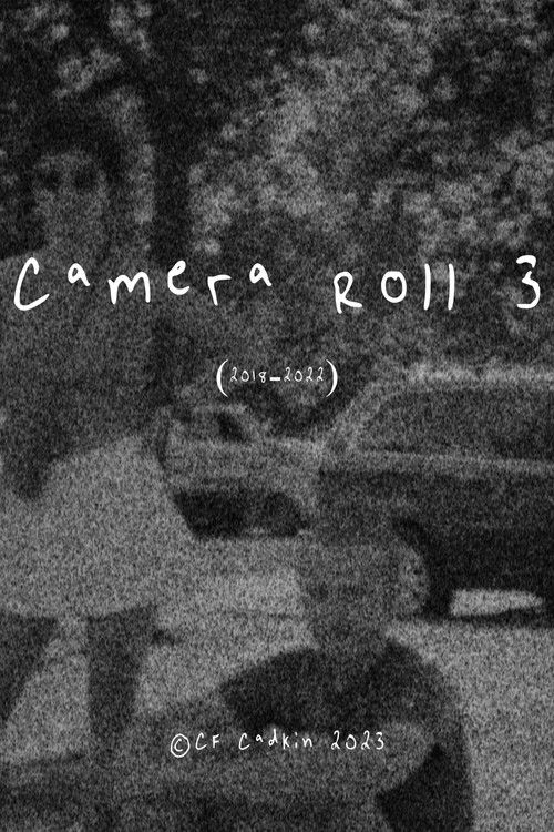 Camera Roll 3 (2018-2022) (2023) poster